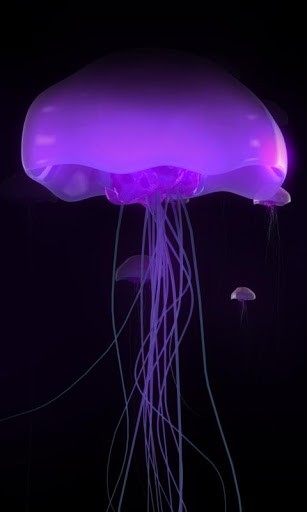 Bigger Jellyfish HD Live Wallpaper For Android Screenshot