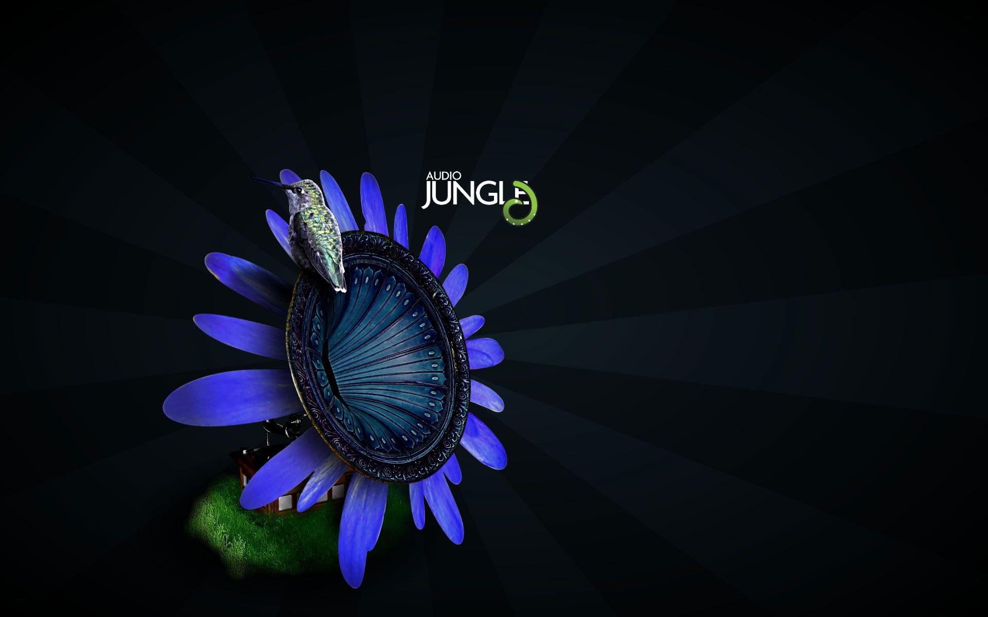 Jungle Desktop Audio Background Attachment Content Wallpaper For