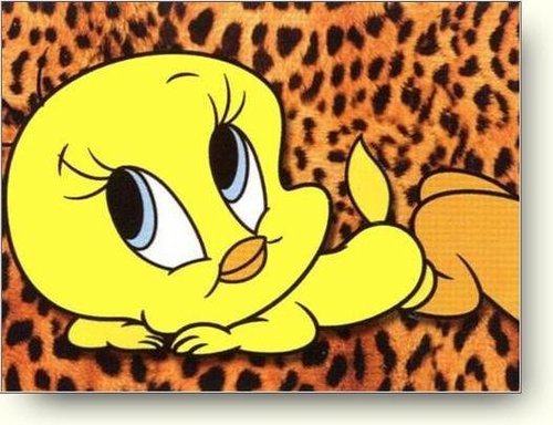 Related Pictures Tweety Bird