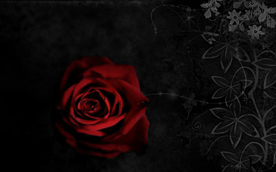 Gothic Roses Art Image Pictures Becuo