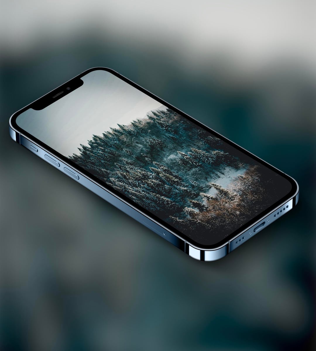 Winter Trees Wallpaper