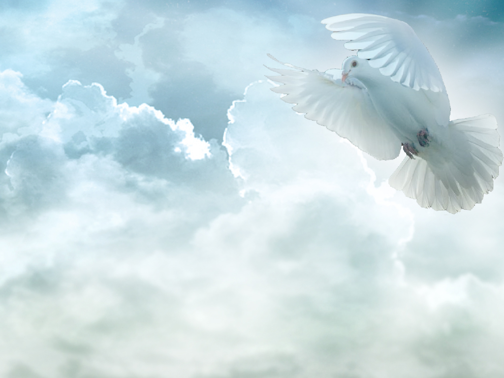 Holy Spirit Dove Pictures Image Photos Live HD Wallpaper Hq