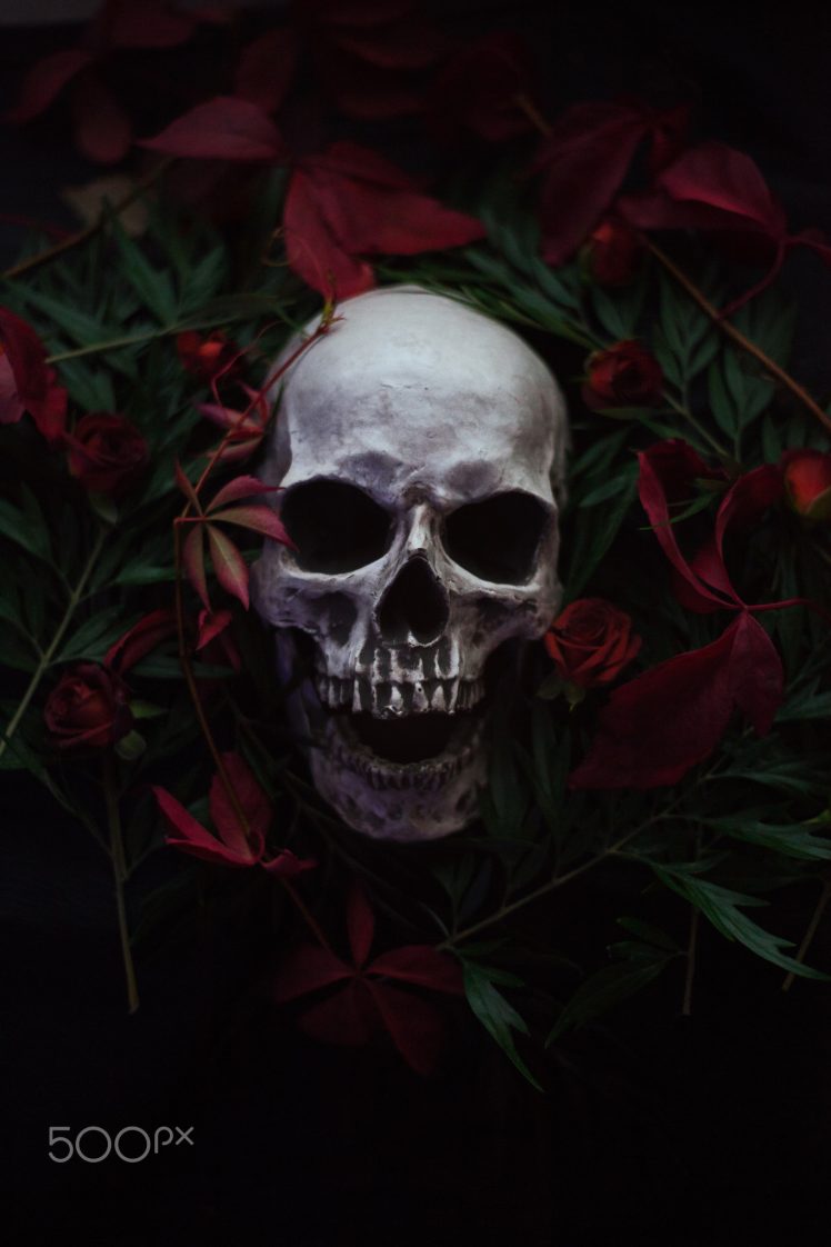Artem Phoenix Skull Flowers Plants 500px Wallpaper HD