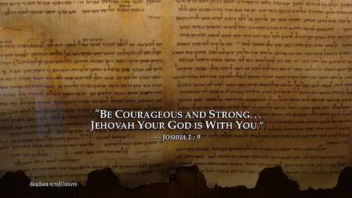 Jehovah Witnesses Yeartext For iPad iPadmini iPhone Ipod