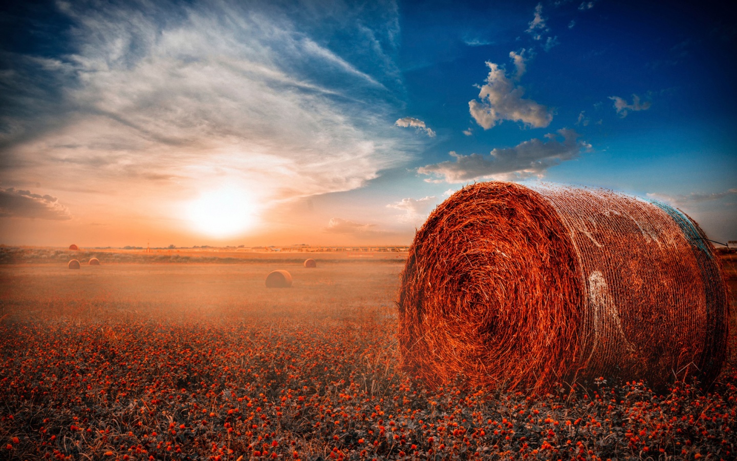 Wide Wallpaper Rolls WallpaperSafari