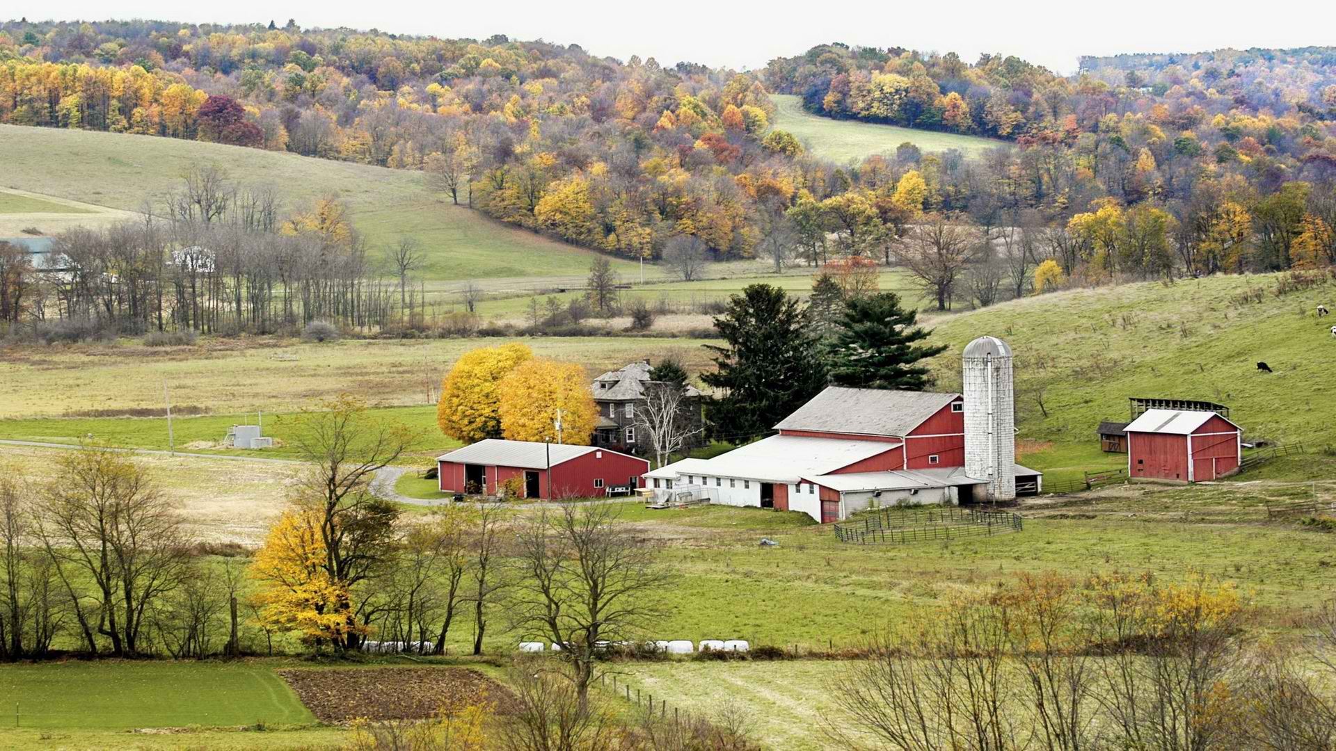 Amish Ohio Wallpaper HD
