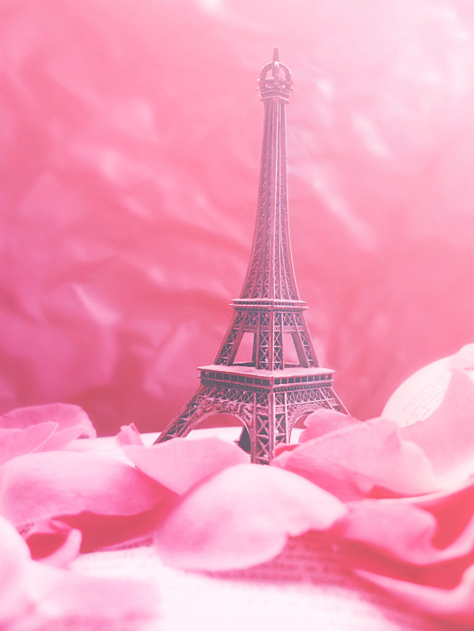 Free download Pink Eiffel Tower Wallpaper PiP Paris in Pink by Redanshy on  [1600x2133] for your Desktop, Mobile & Tablet | Explore 12+ Wallpaper Paris  Pink Love | Pink Love Wallpaper, Love