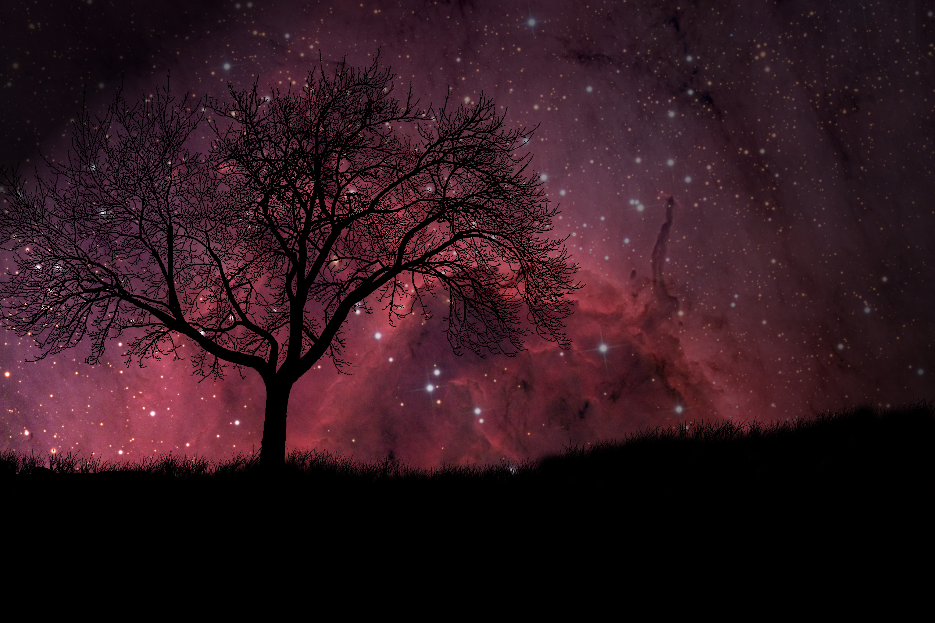  are viewing stars hd wallpaper color palette tags stars category space