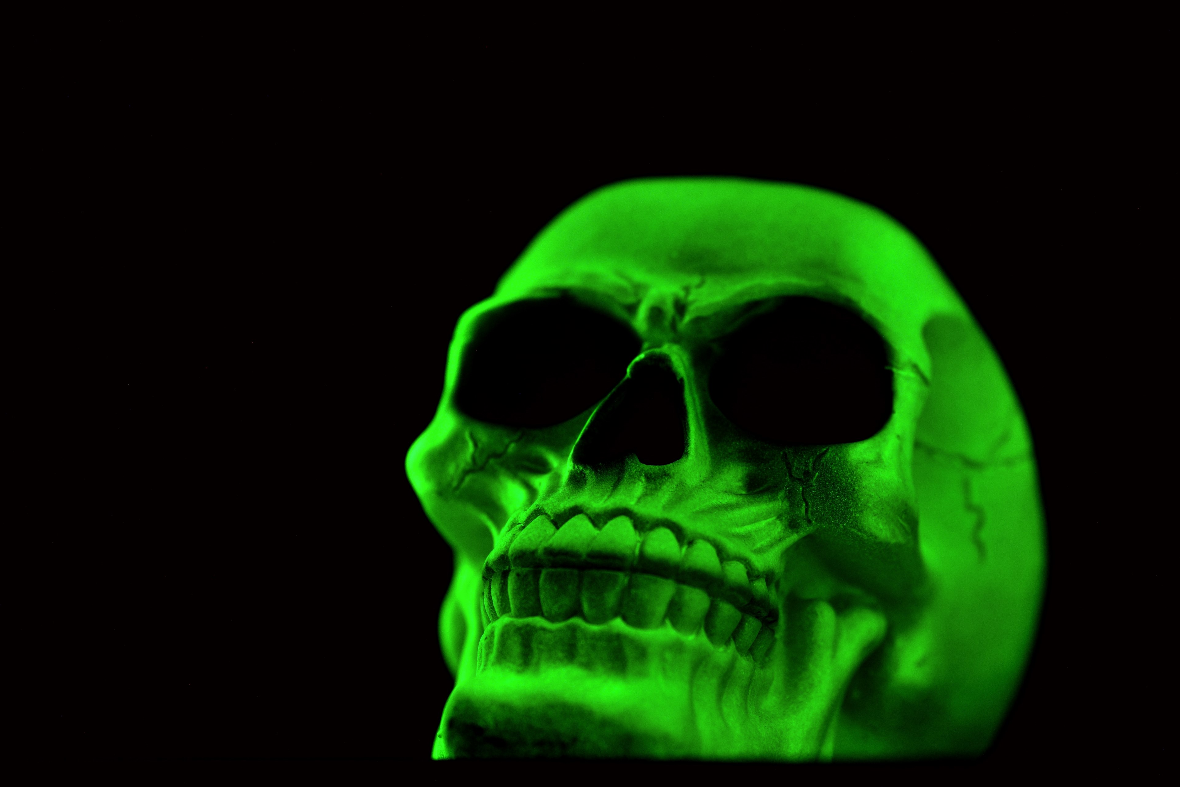 Phosphorescent Skull 4k Wallpaper And Background