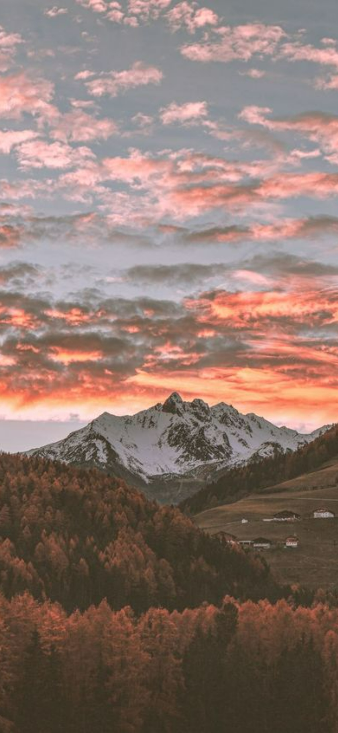 Nature Wallpaper Aesthetic