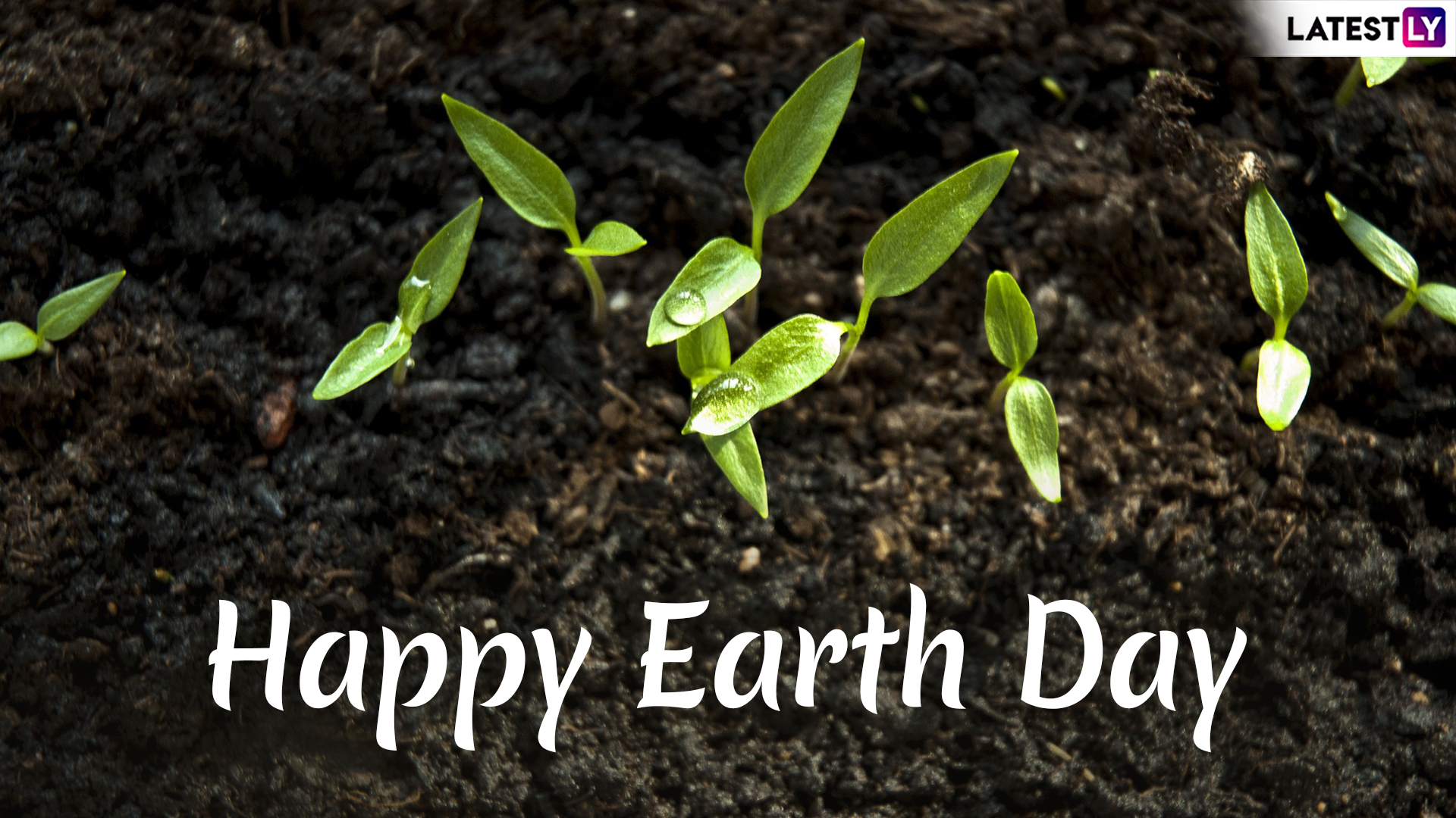 Earth Day Image HD Wallpaper For Online