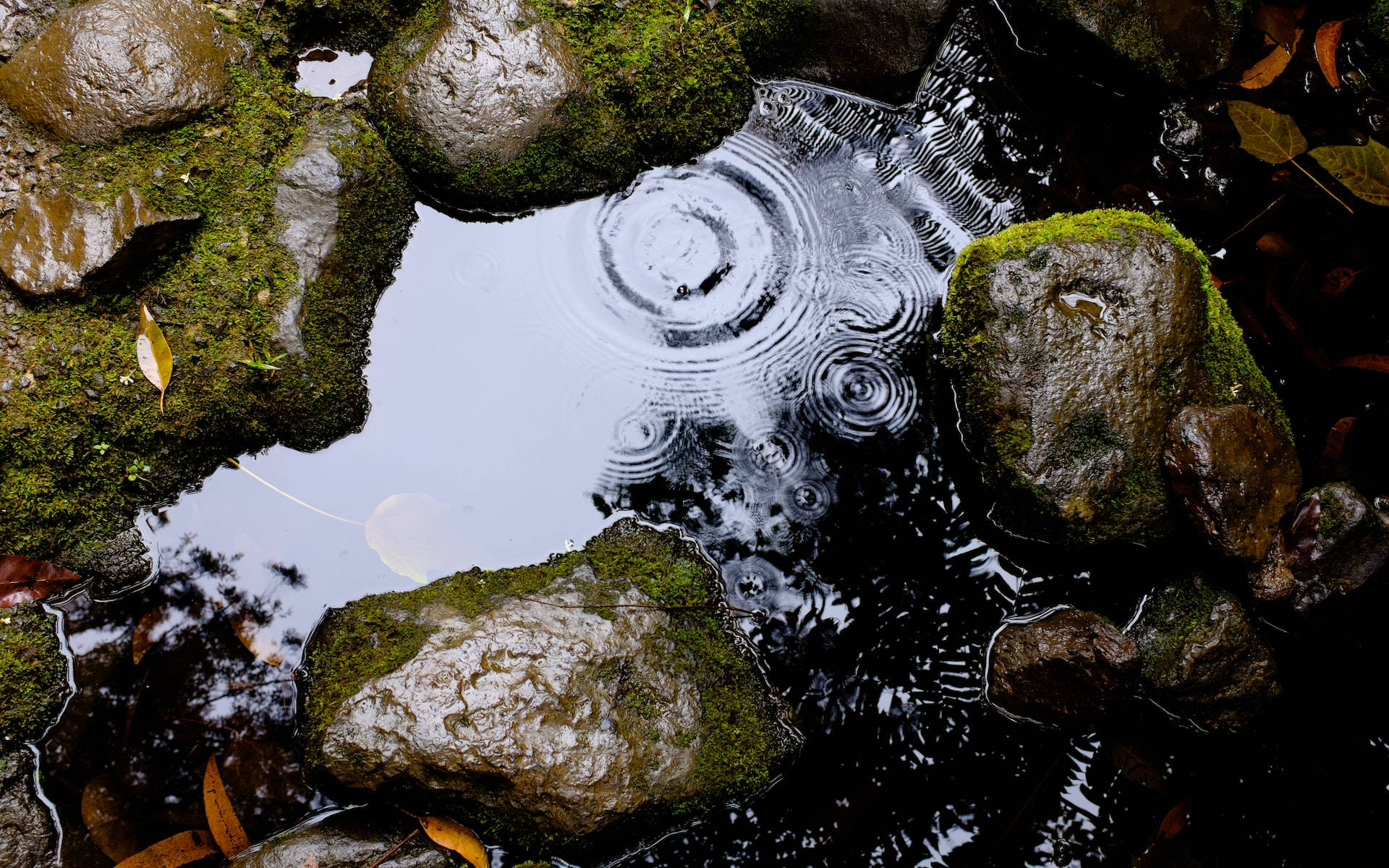 Moving Water Wallpaper