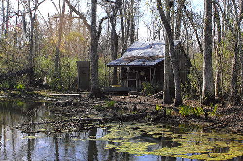 Louisiana Swamp Tours Bayou moss wallpapersafari
