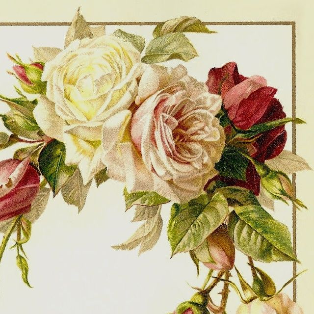 Victorian Rose Wallpaper Border Roses