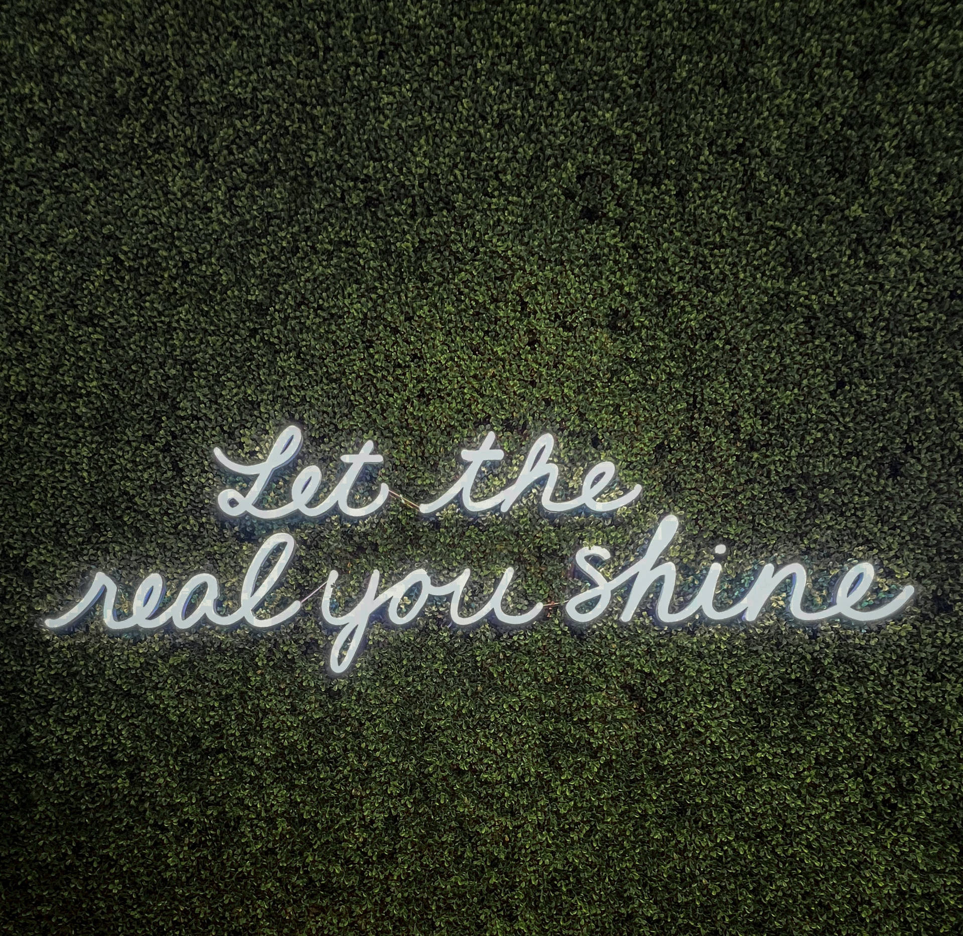 Neon sign with the inspirational quote 'Let the real you shine' on a green plant wall background