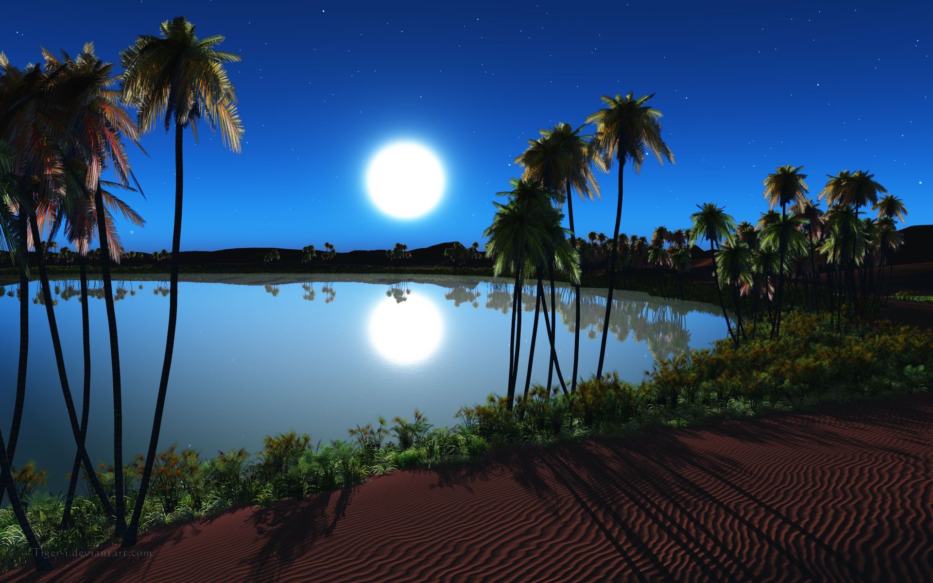 Oasis Night Wallpaper Stock Photos