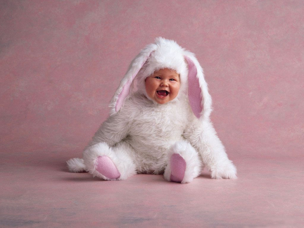 As Bunny Or Rabbit Beautiful Baby Wallpaper