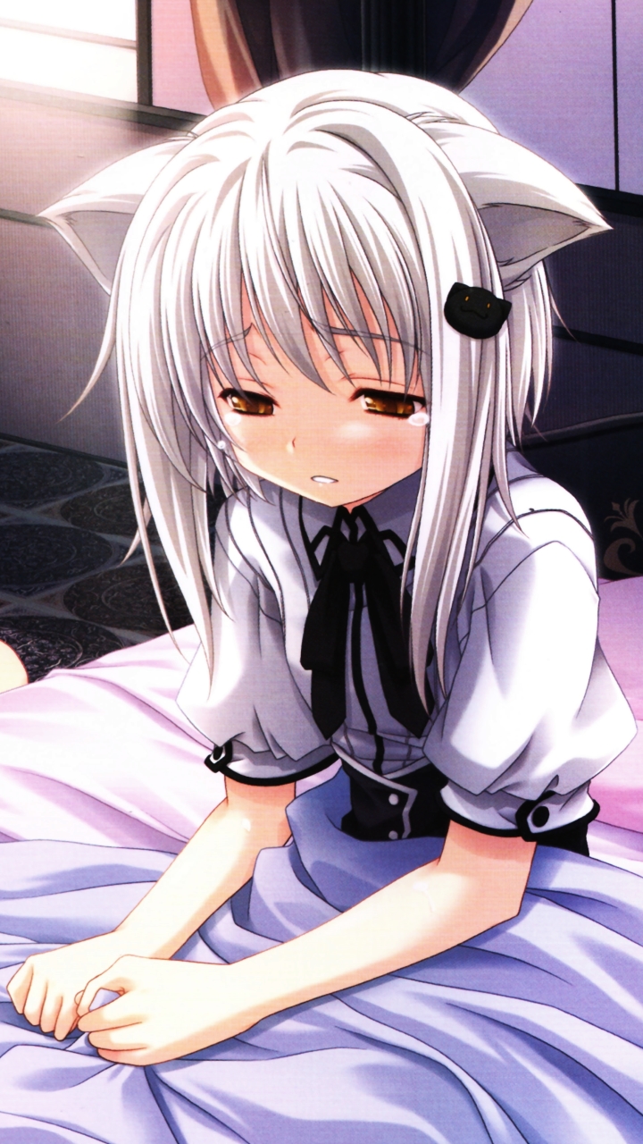 Photo Collection Koneko Toujou Wallpaper