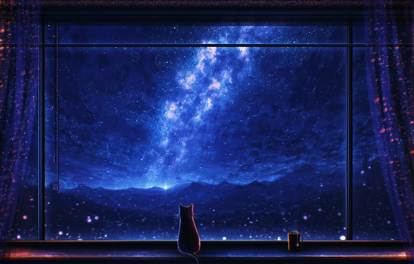 Wallpaper Cat Night Rain Window Mug The Milky Way By