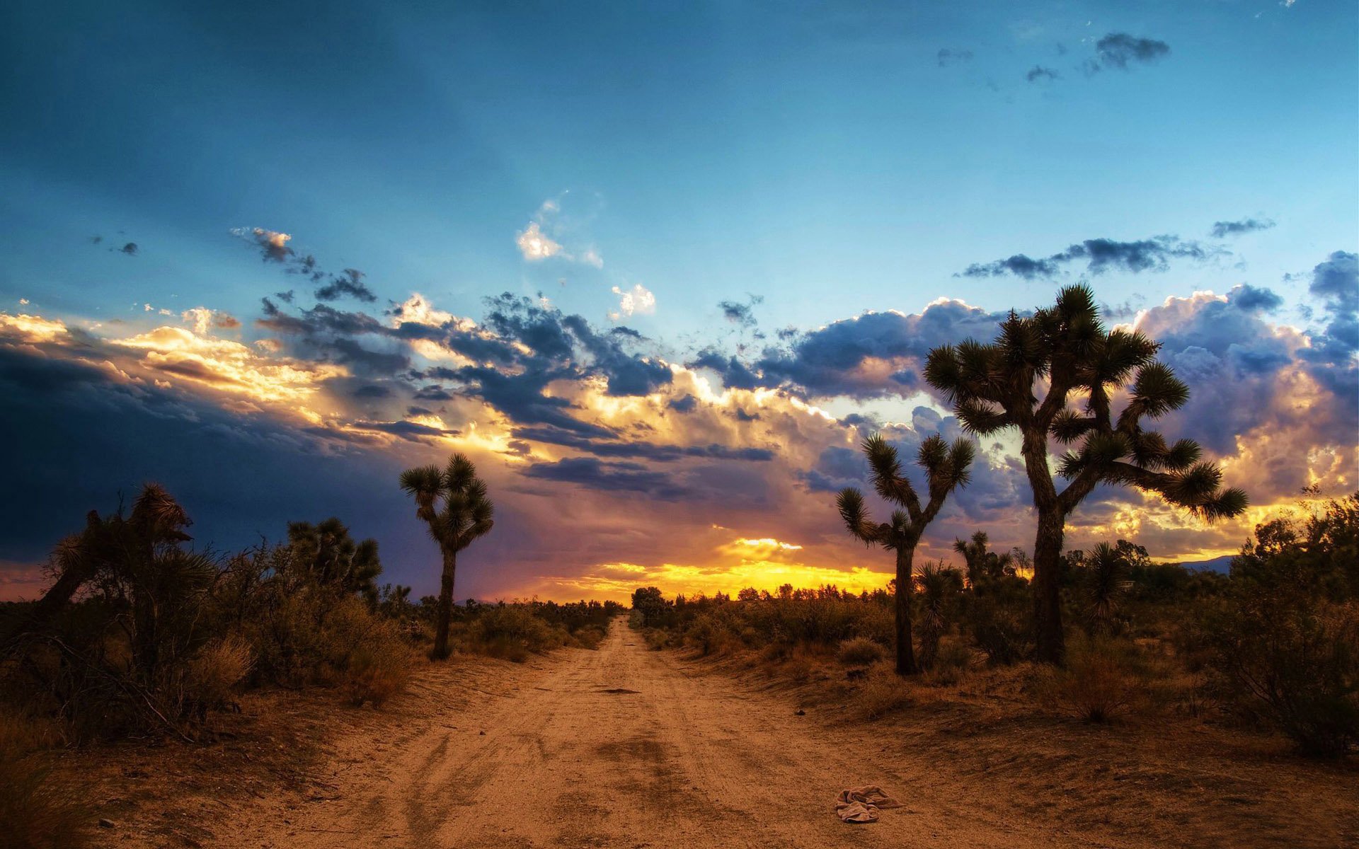 Mojave Desert HD Wallpaper Background Image