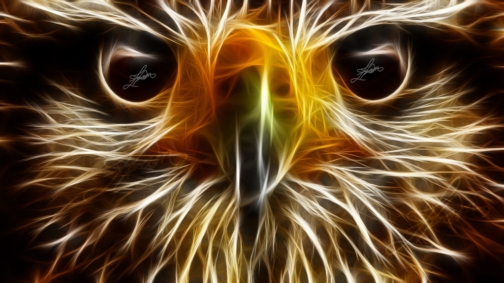 Cool Neon Animal Wallpaper Eagle HD By