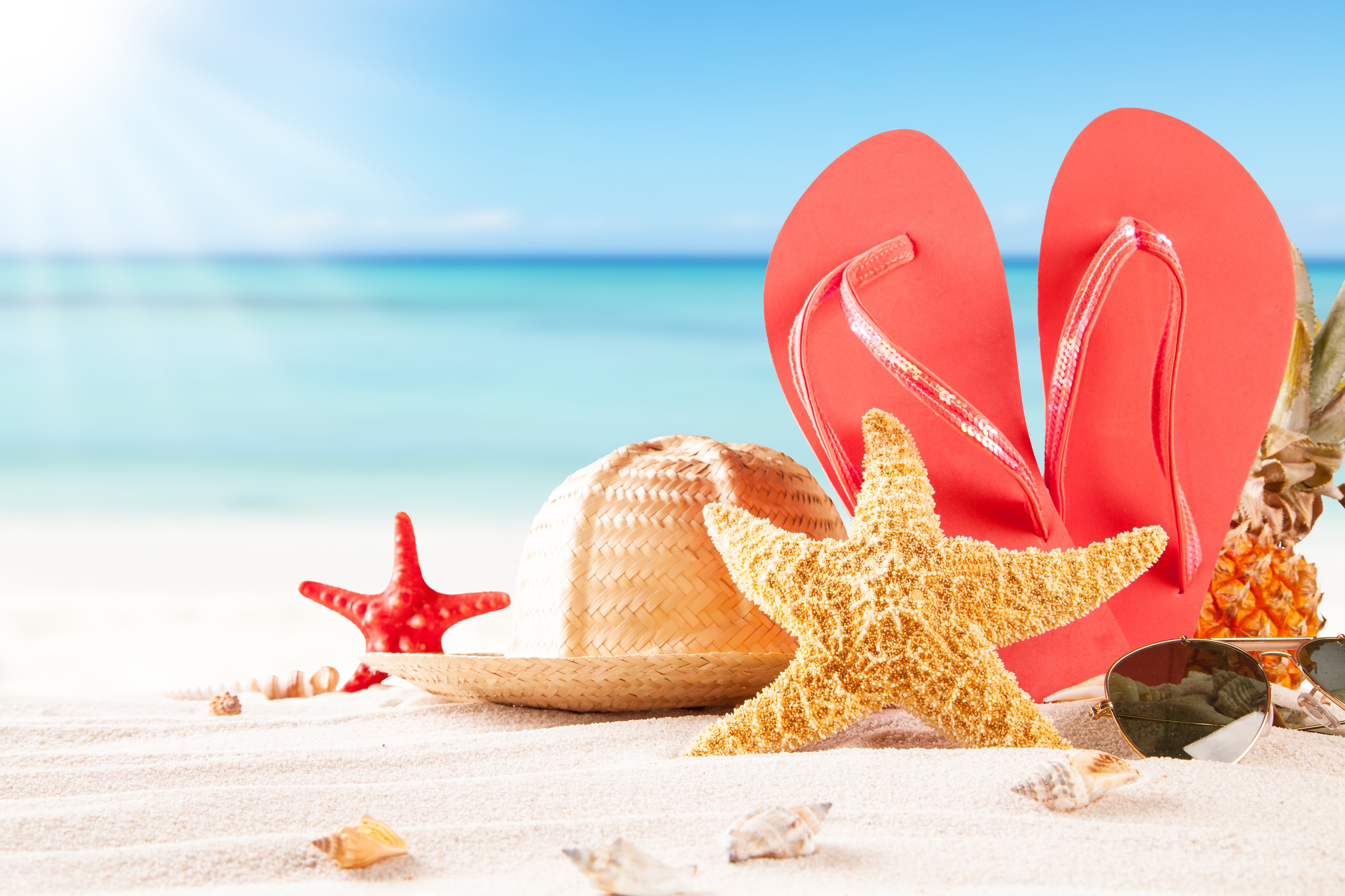 Free Download Gallery For Gt Summer Beach Wallpaper Hd 5560x3707 For 