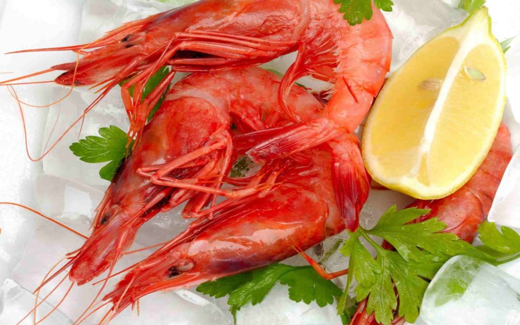 Seafood Shrimp Food HD Walpapers