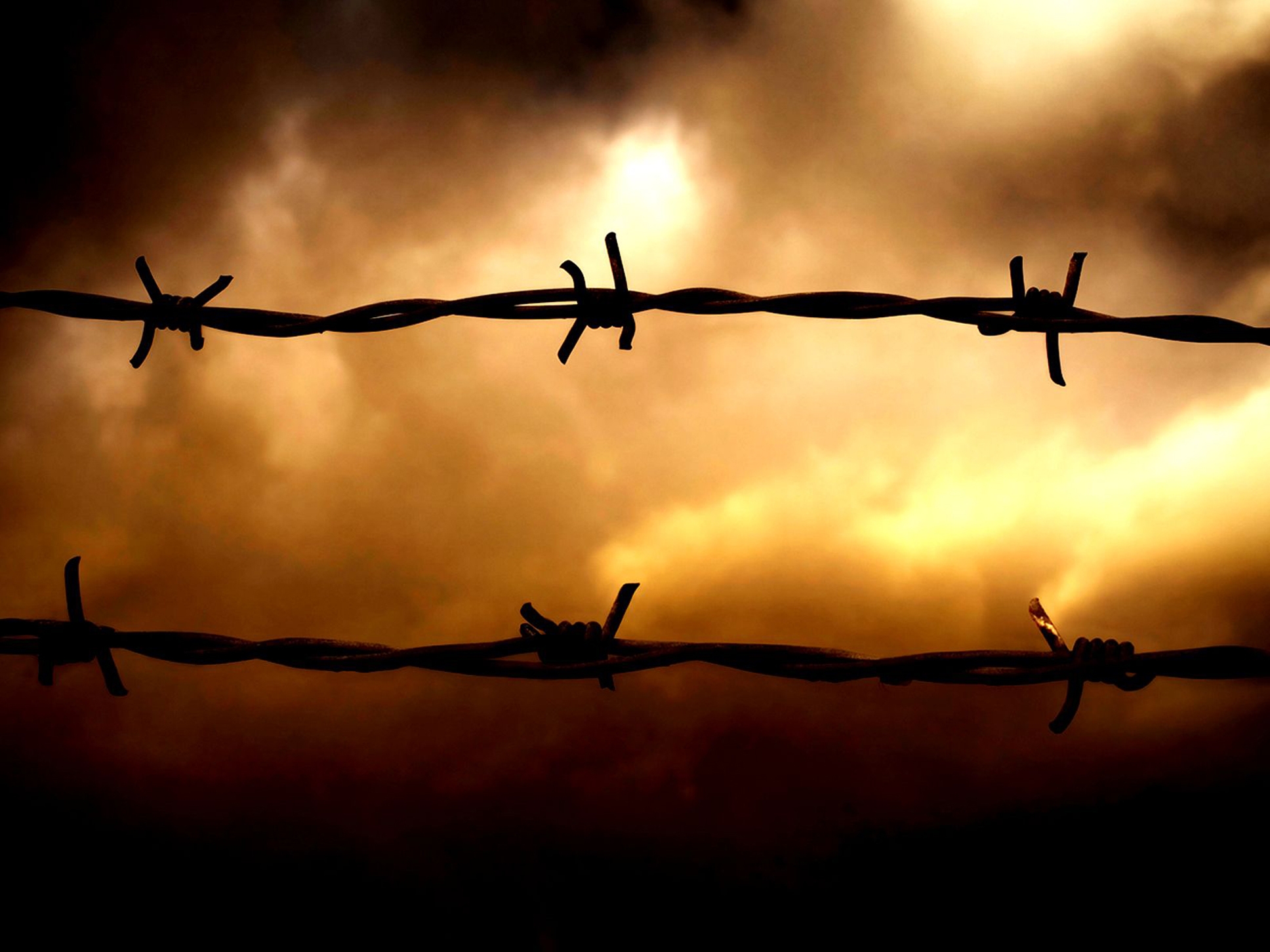 Wallpaper Barbed Wire Sunset Sky Obstruction Clouds