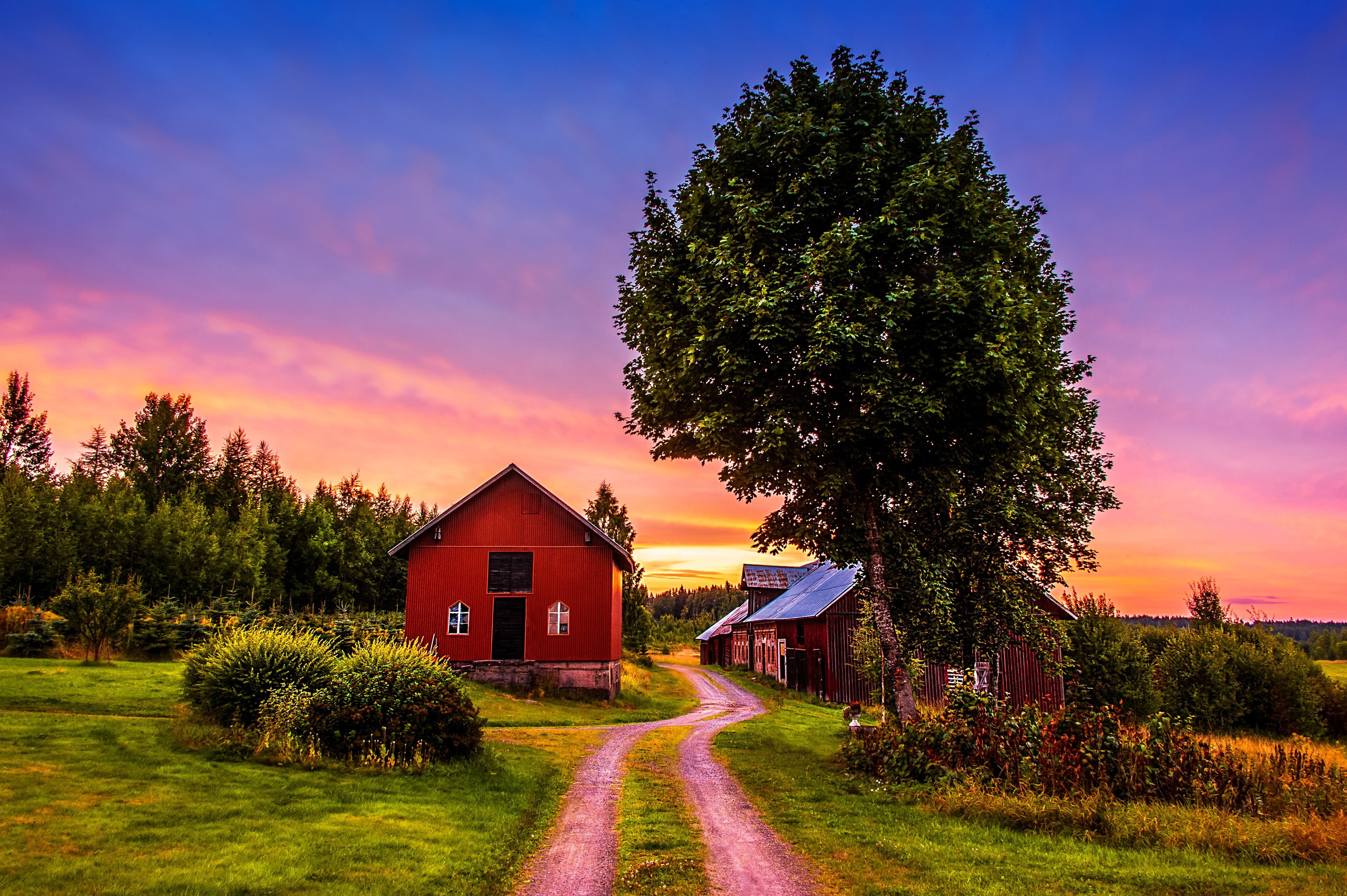 Sunset Trees Road Home Landscape Rustic Farm House Wallpaper HD