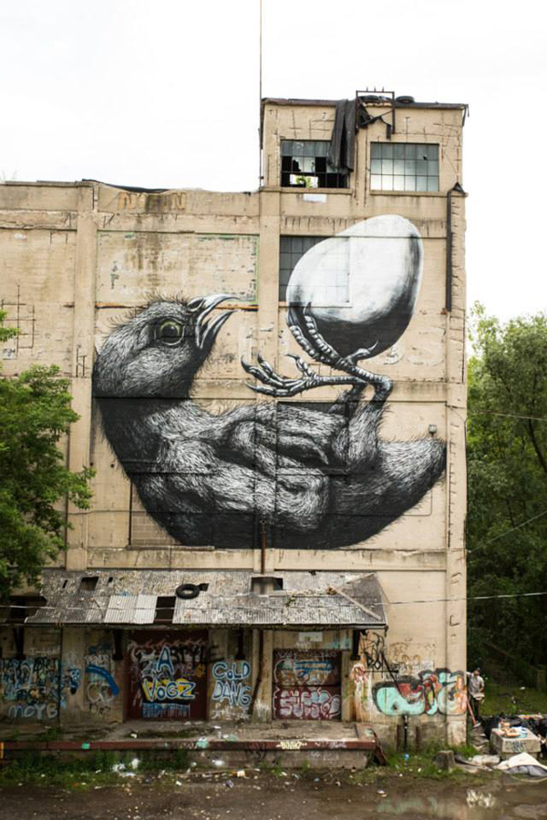 🔥 Free download ROA in Rochester NY Galvanizine [600x900] for your Desktop, Mobile & Tablet