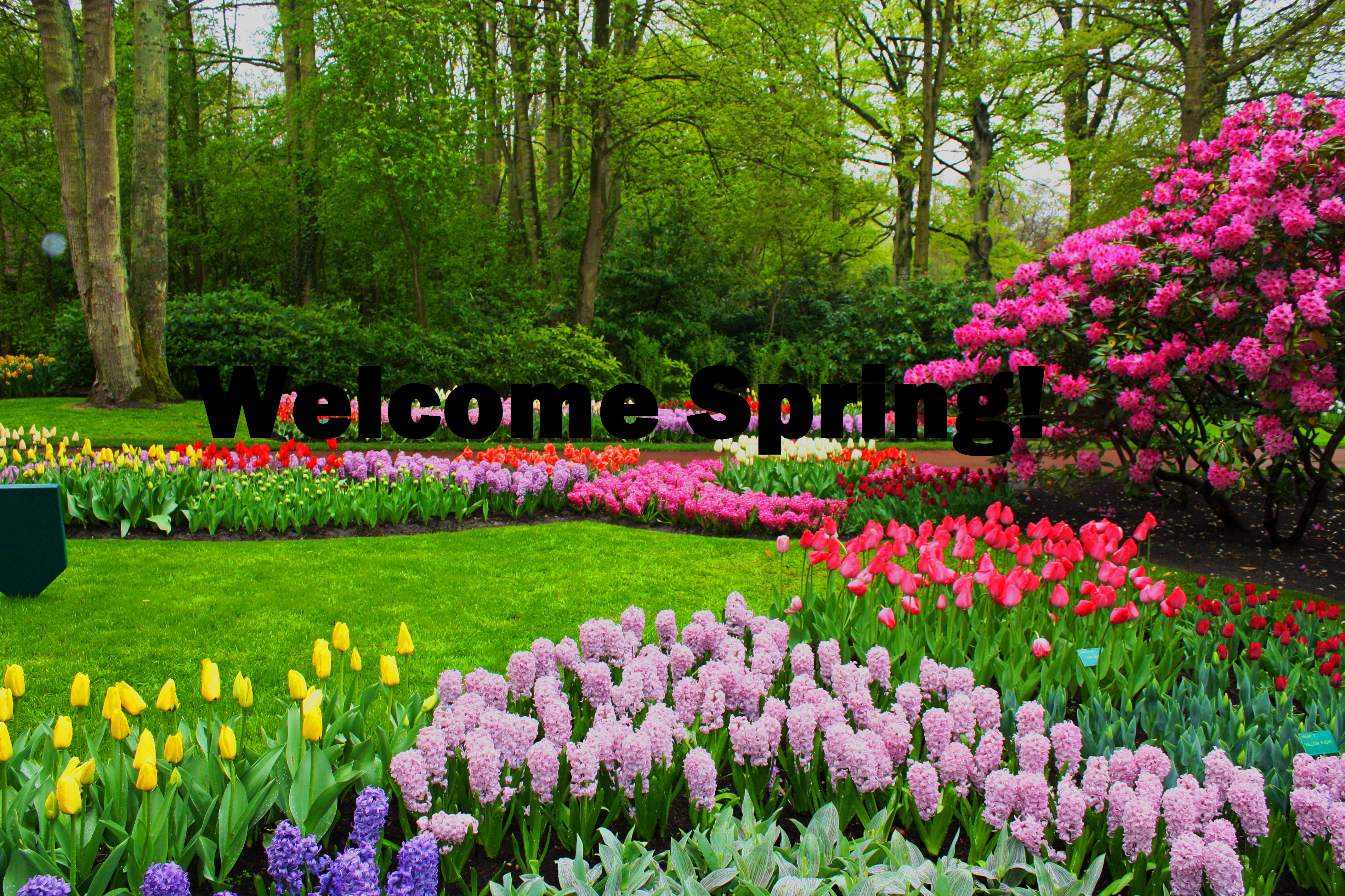 Wele Spring HD Wallpaper Image