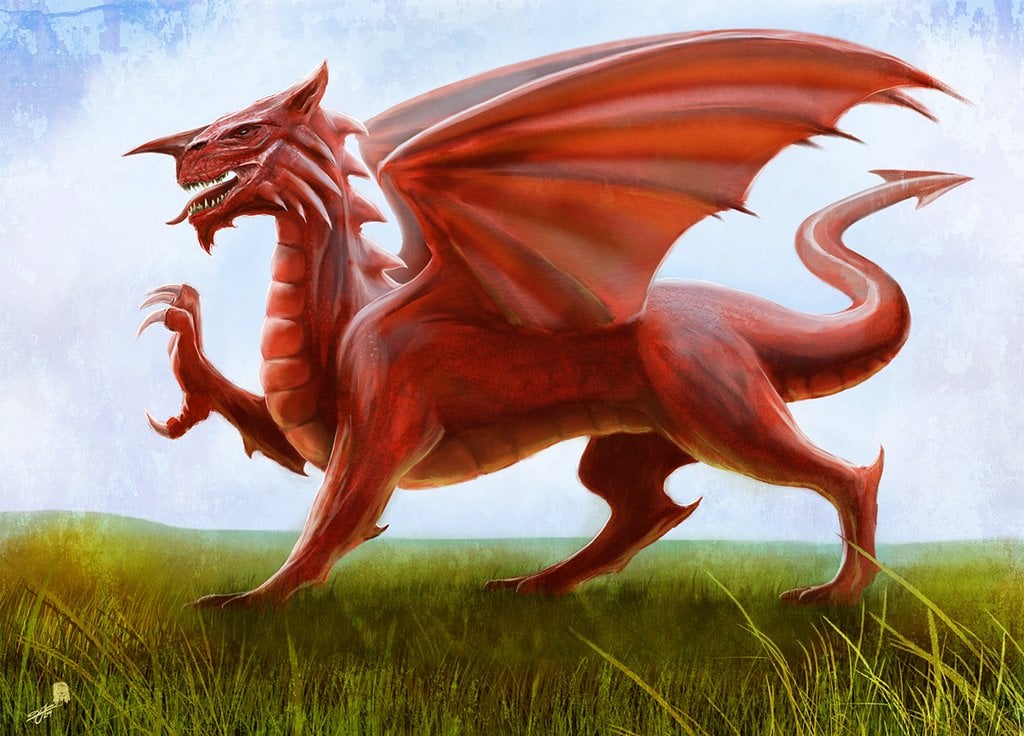 Download Welsh Flag The Red Dragon by AndyFairhurst [1024x736