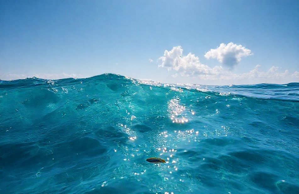 Ocean Live Wallpaper For Windows