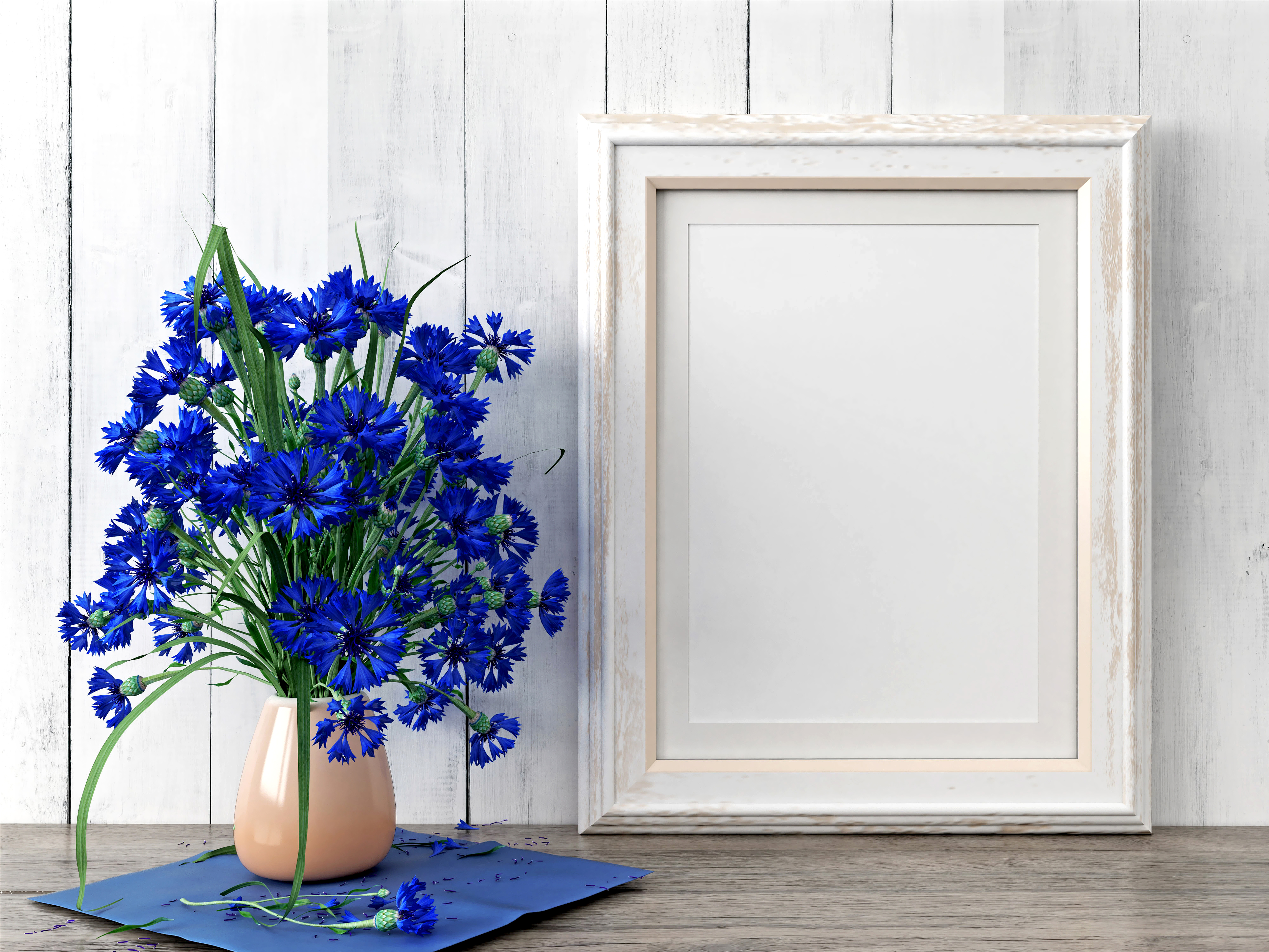 Pictures Blue Flower Vase Centaurea Template Greeting Card