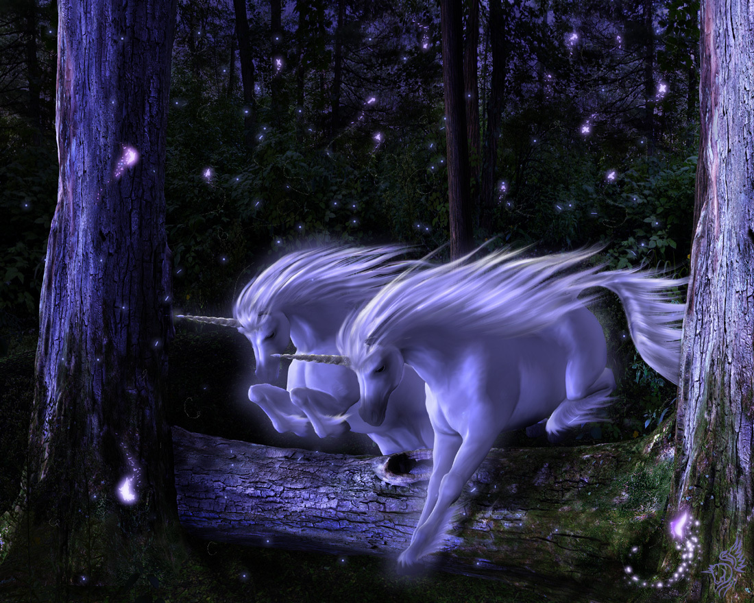 Mystical Unicorn And Pegasus Wallpaper Digital Photo Editing New
