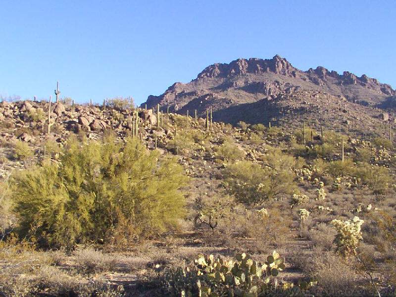 Wallpaper Photographs Of The Tucson Mountain Park Near Arizona