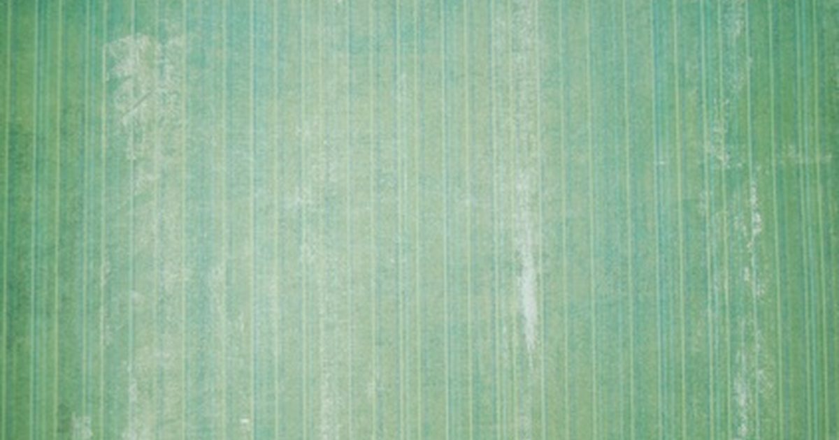 Tips For Painting Over Wallpaper Seams Ehow Uk