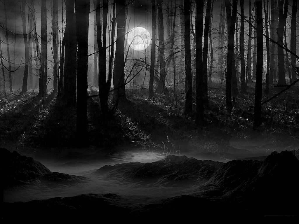29+] Dark Forest With Moon Wallpapers - WallpaperSafari
