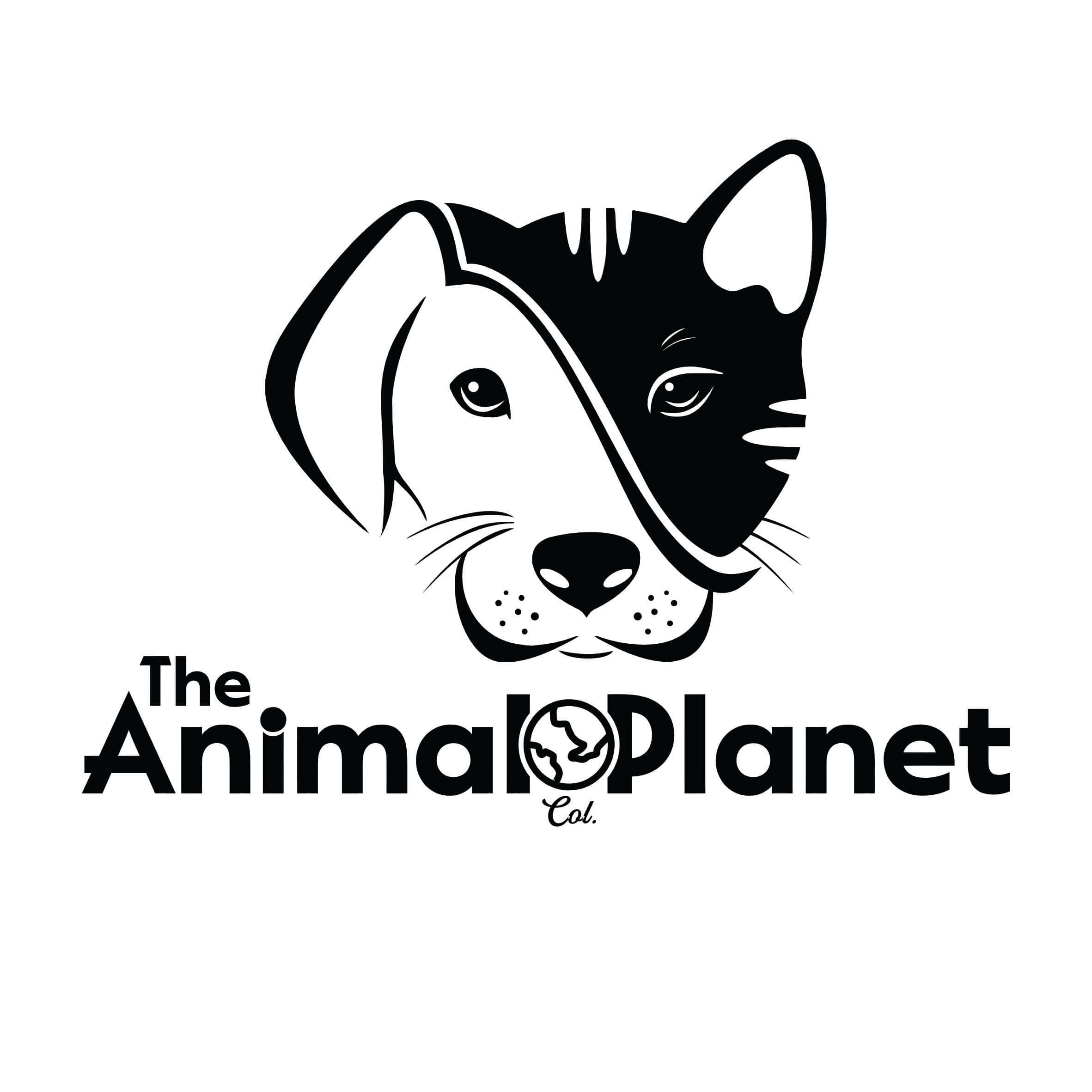 Animal Planet Picture Wallpaper
