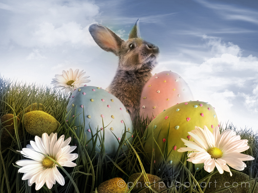 Easter Happy Wishes Pictures Sms Quotes Cute Funny Bunny