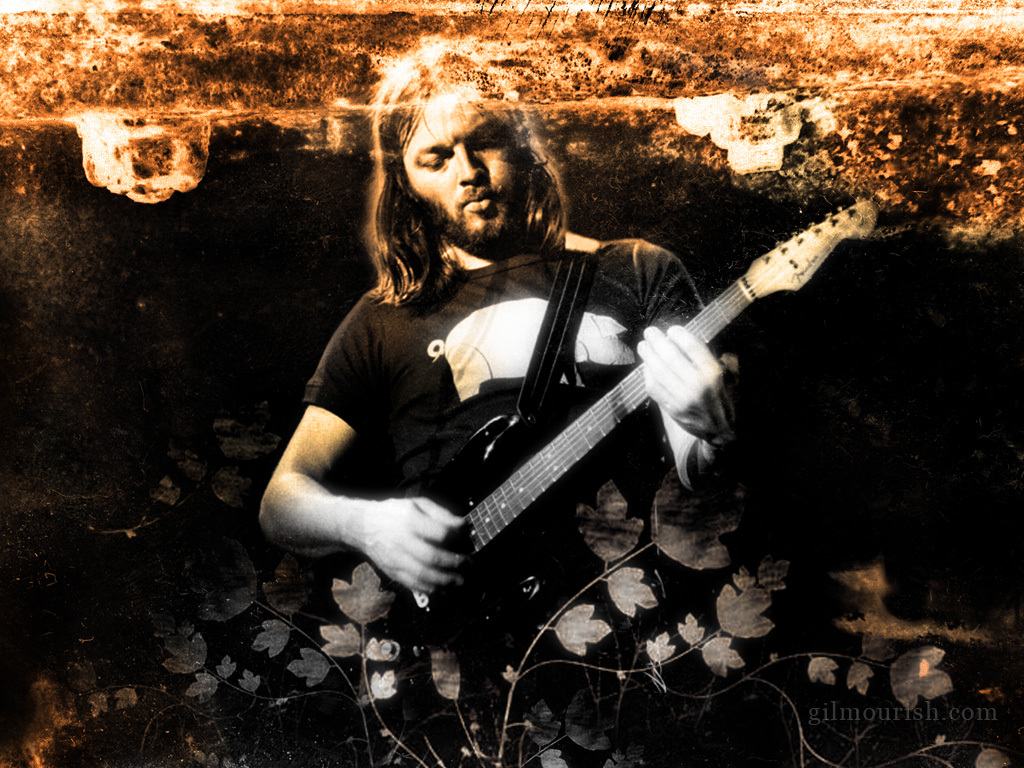 David Gilmour Image Wall HD Wallpaper And Background