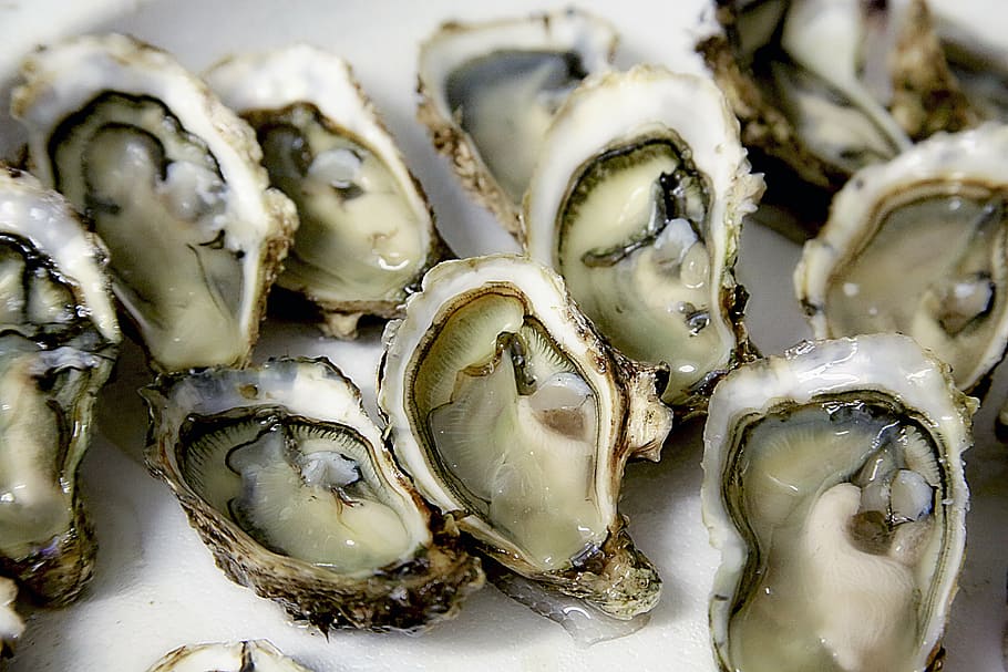 Raw Oyster 1080p 2k 4k 5k HD Wallpaper