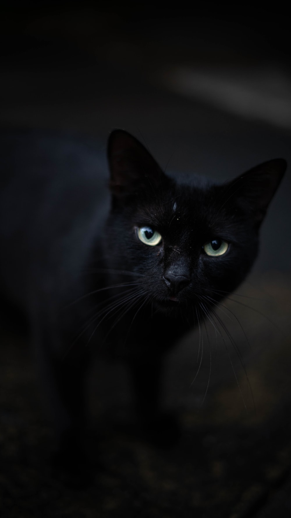 black cat with green eyes photo Black Image on Unsplash 1000x1777