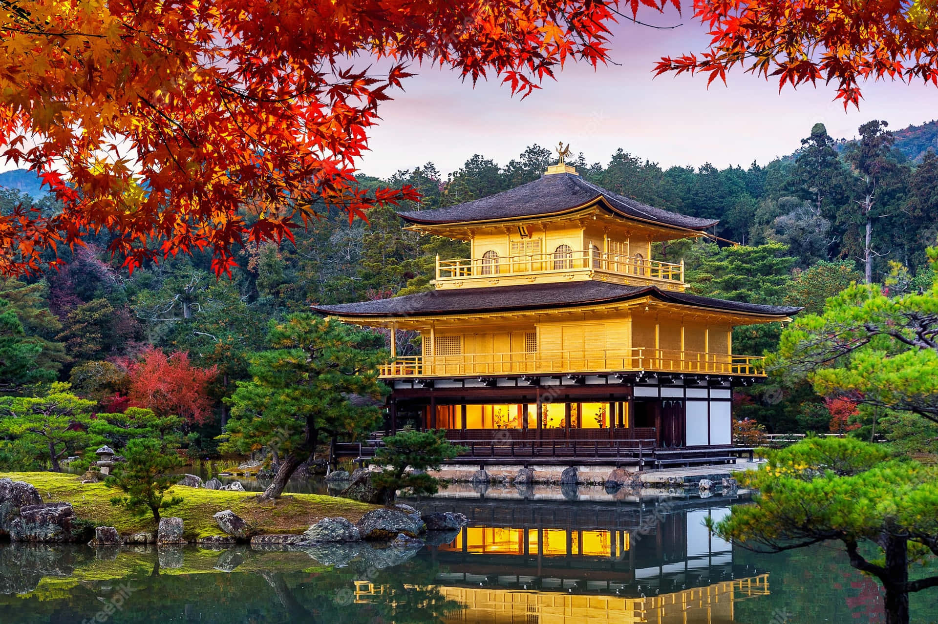 Majestic Of The Golden Pavilion In Kyoto Japan Ah6amcia6wz2pqfm Wallpaper