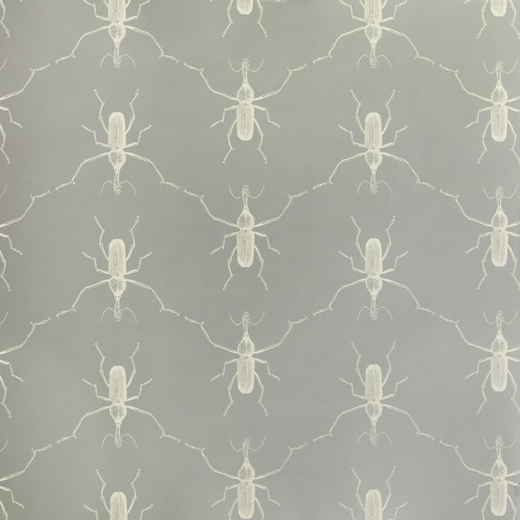 Buggie greys anatomy wall paper For the Home Pinterest
