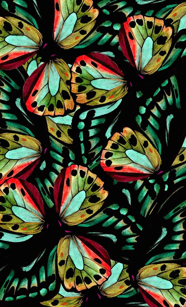 Prints Of Butterfly Wings HD Wallpaper