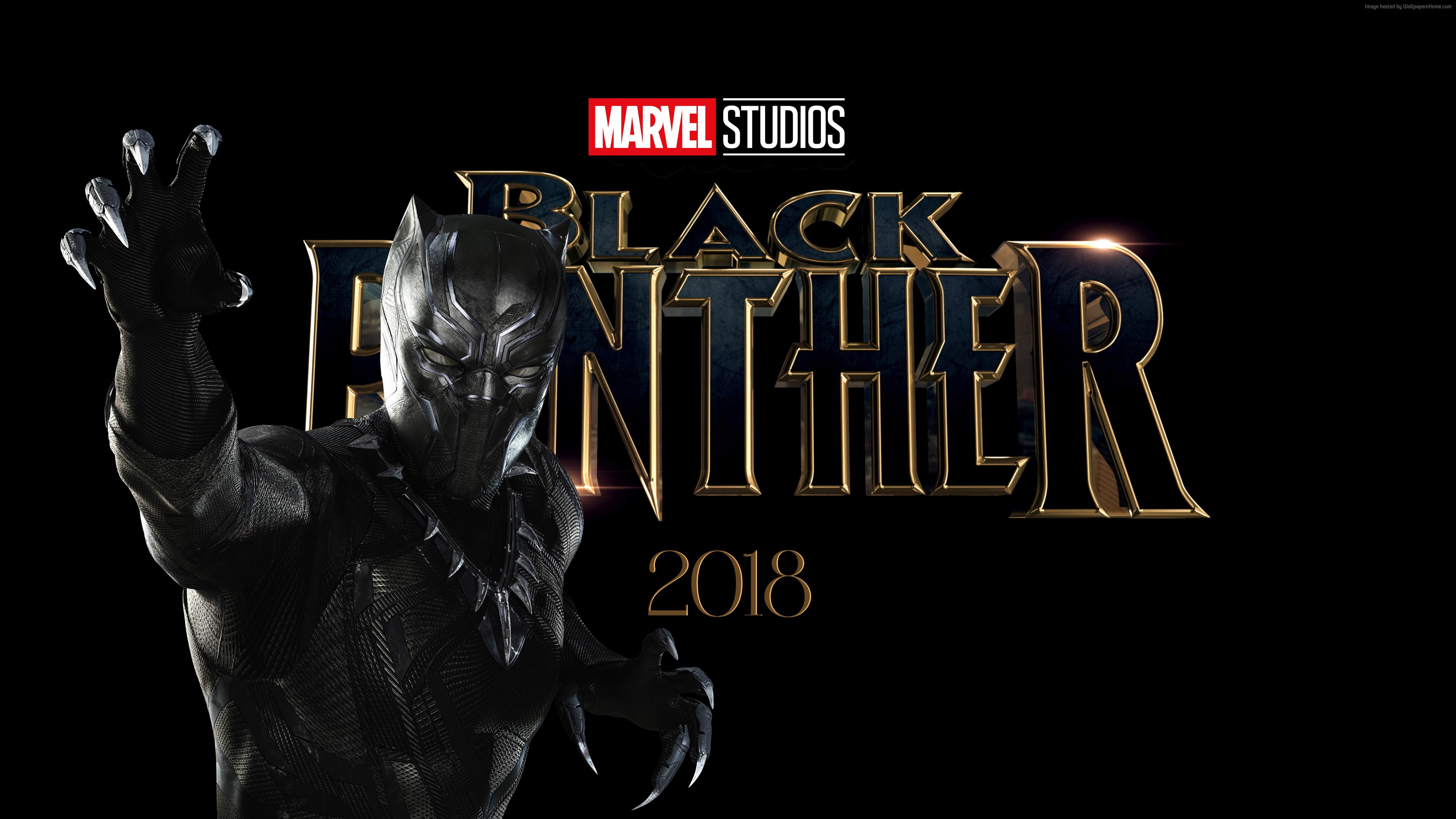 Wallpaper Black Panther 4k Poster Chadwick