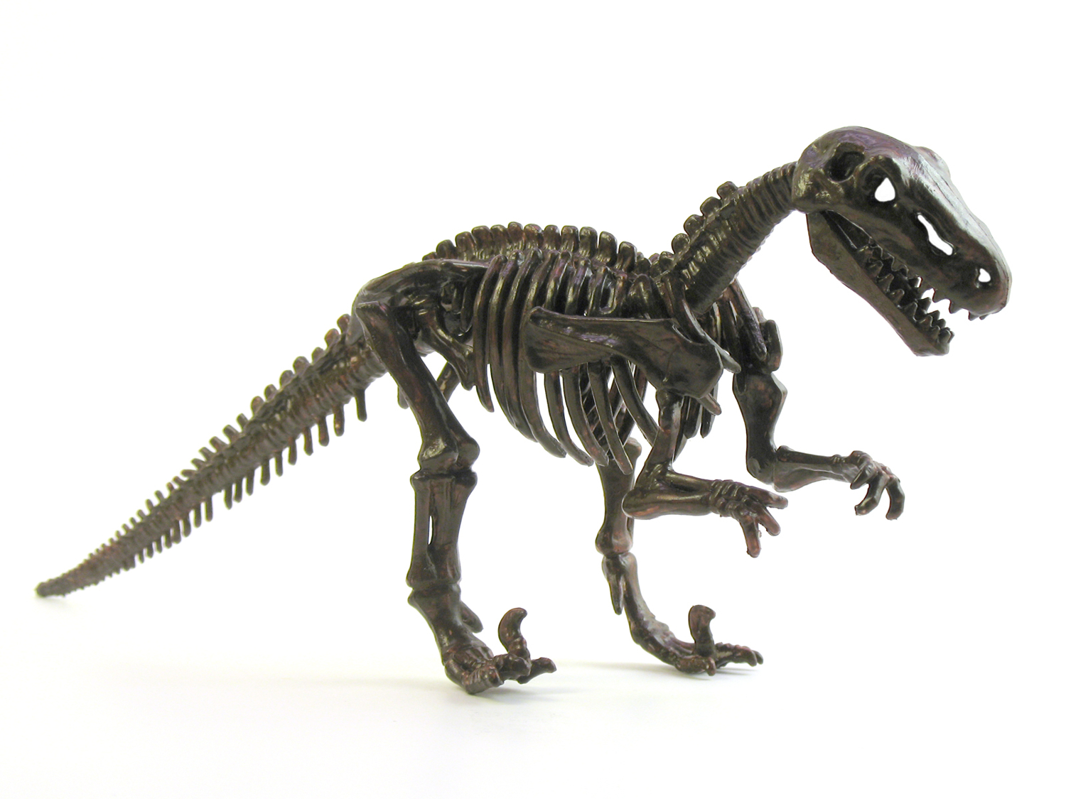 dinosaur skeleton high resolution HD Wallpaper of Wild Animal