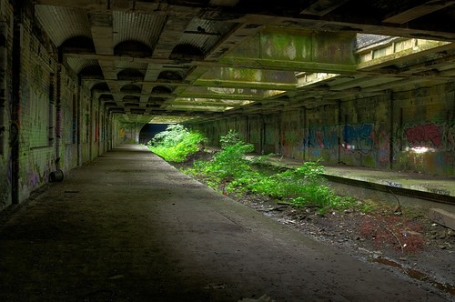 Abandoned Buildings Wallpaper Wallnest Picture On Visualizeus