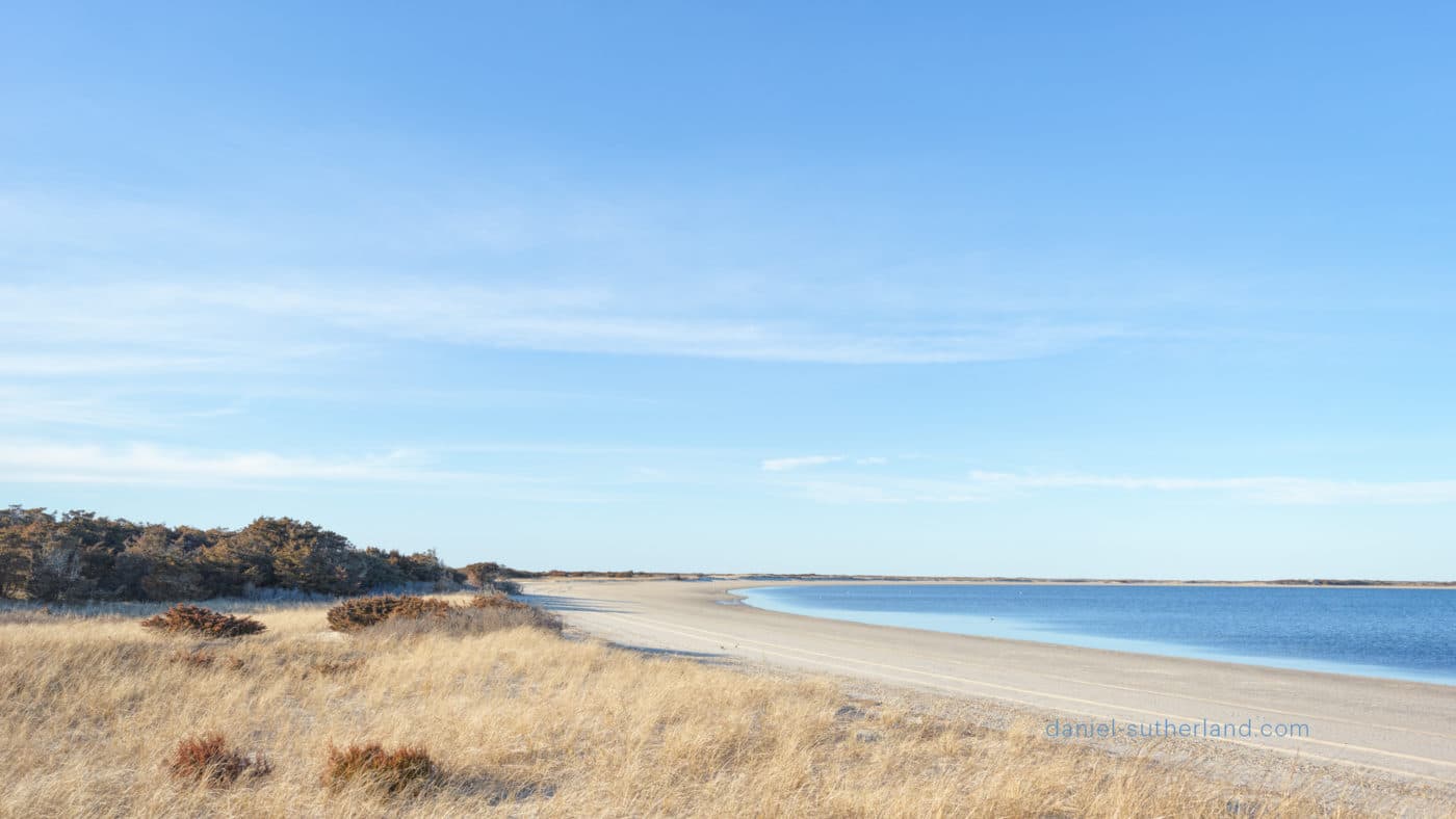 A Nantucket Backdrop For Zoom Conservation Foundation